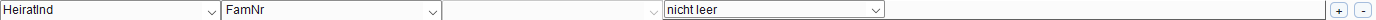 Eine einzelne Filterzeile mit Gruppe, Feld, Operator und Wert