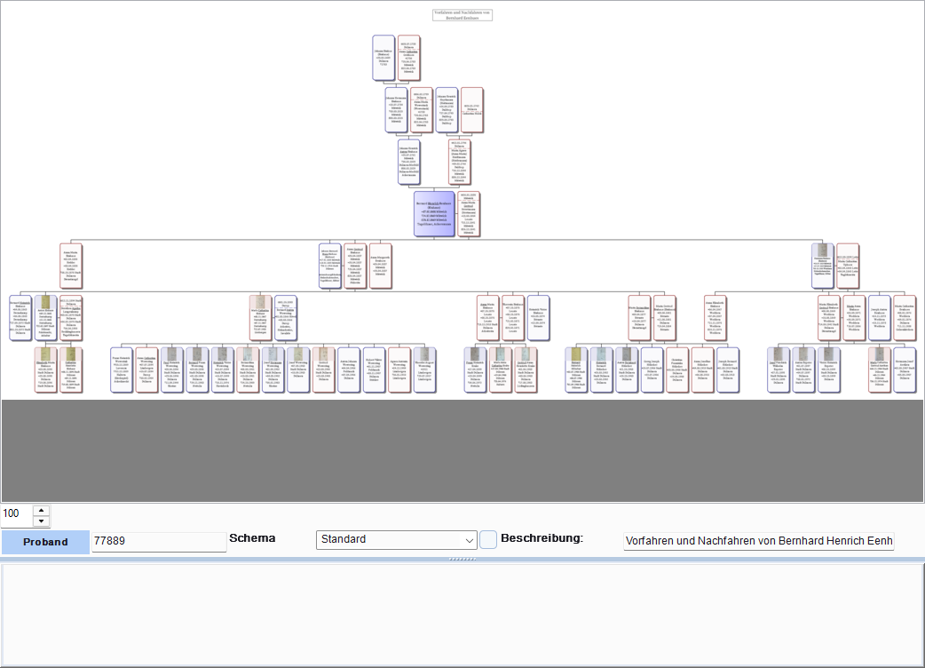 Sanduhrgrafik mit Proband in der Mitte, Vorfahren oben, Nachfahren unten